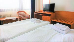 Standard Double Room room in Hotel Adamantino