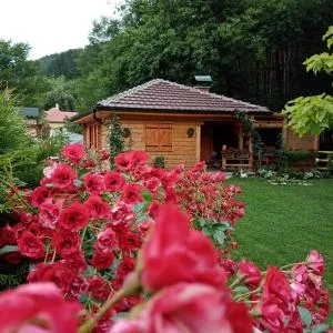 Vila Helena - Biserske Kuće