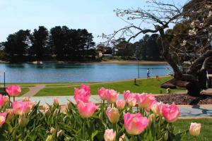 Zoo Villas : Villa Zebra - Central Wynyard