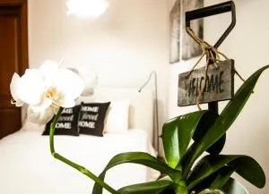 Suite Home Al Centro Di Sassari - 萨萨里