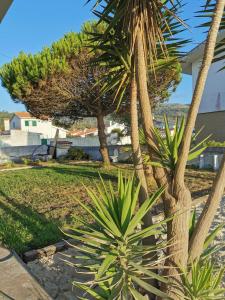 A PRAIA - MY OWN PARADISE Piso Térreo