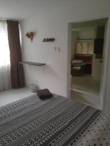 Dorado Airport rooms & apartments