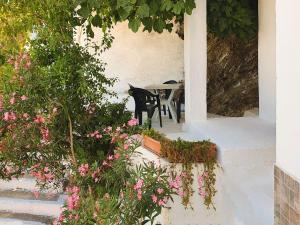 Sea-view Apartment in Therma with Balcony Ikaria Greece