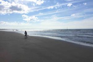 Appartements Chez Edwige a Cabourg thalasso plage WIFI : photos des chambres