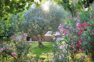 Villas Mas des Baussiers : photos des chambres