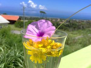 Okinawa Island Saraswati 1-Star Accommodation lobby