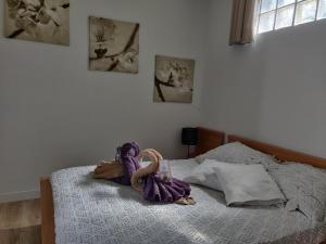 Maisons de vacances La maisonnette de Saint Chamas : photos des chambres