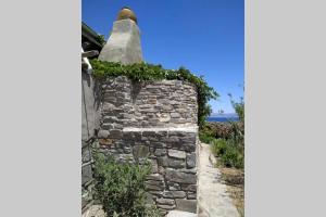 Aloe country house Paros Greece