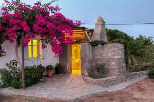 Aloe country house Paros Greece