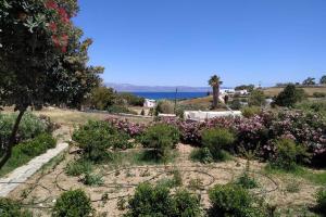 Aloe country house Paros Greece