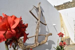 elena studios paros Paros Greece