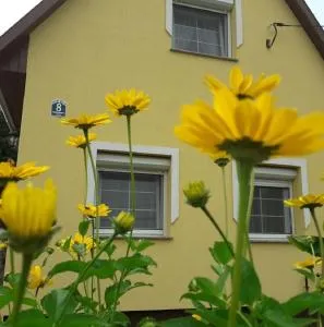 Napocska Vendégház Harkány - Matty