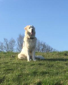 Domaine du Val de Soux