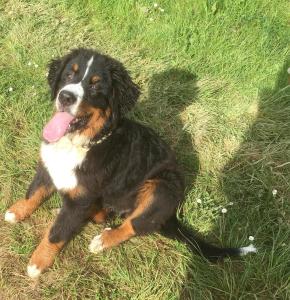 Domaine du Val de Soux