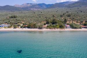 Front Beach House Thassos Greece