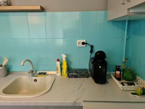 Zorilor Cactus Apartment