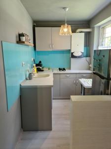 Zorilor Cactus Apartment