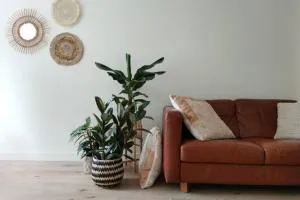 Cosy Tiny House in bollenstreek vlakbij het strand - 希勒霍姆