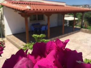 Guesthouse Nedin - 3hvězdičkové hotely ve městě Ksamil