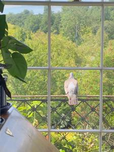 Plant yourself in the very centre of Bath - FREE PARKING