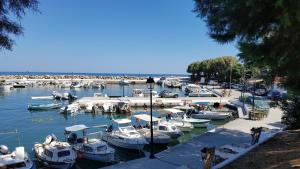 Filia Luxury Apartments