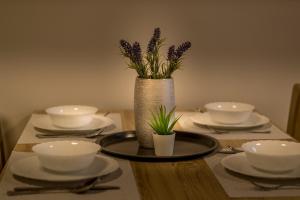 Apartmány Poslův Mlýn