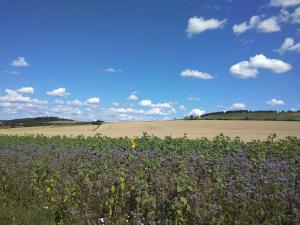 Obere Ferienwohnung Asshoff zwischen Odenwald, Taubertal und Bauland