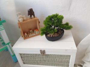 PiranArt Boutique Hotel & More 