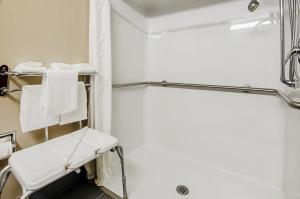 King Room with Walk In Shower - Non-Smoking room in Quality Inn & Suites I-81 Exit 7
