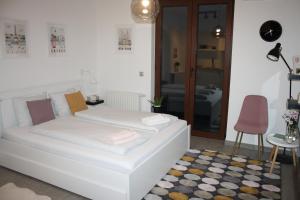 Studio apartman Centar