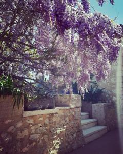 Maisons de vacances Beautiful pigeonnier with sensational surroundings : photos des chambres