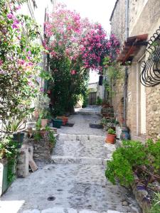 Appartements La Plenitude : Appartement