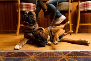 warkworth house hotel