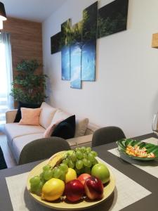 Studio Apartment room in Mountain Residence Zlatibor Apartman Sara 2