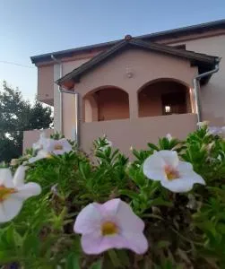 Apartments Cherry - 格基卡琳