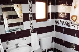 Cabana Andreea Telescaun