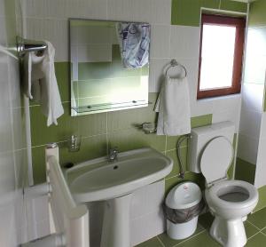 Cabana Andreea Telescaun