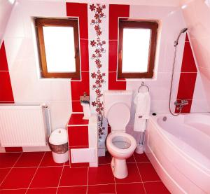 Cabana Andreea Telescaun