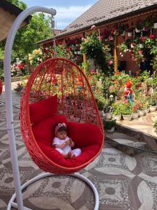 Pensiunea Happy Flowers