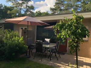 Rode Eekhoorn: genieten met de dieren in het bos!