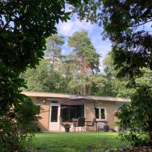 Gouden Hert: relaxen in comfort! #otterlo #hogeveluwe