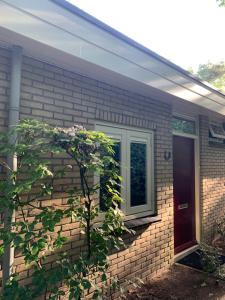 De Wollige Hooglander: in comfort middenin natuur