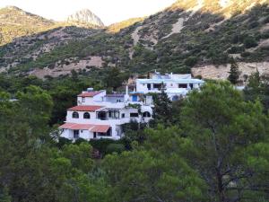 obrázek - Oleander's Garden Traditional Cretan Cottage