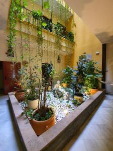 Casona de San Andrés Boutique Hotel