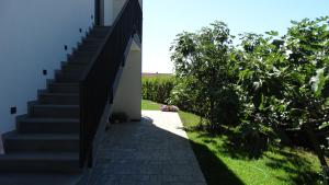 Papillon i Dolce Vita