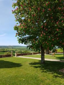 B&B / Chambres d'hotes Propriete Le Monneton : photos des chambres