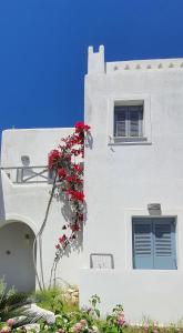 Matsas Windmill Paros Greece