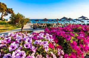 Elani Bay Resort Halkidiki Greece