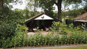 B&B Ebbenbroek