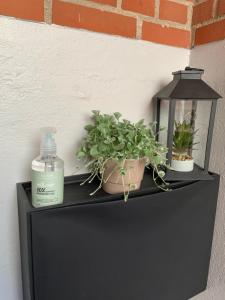 H. C. Lumbyes Vej - kælderlejlighed